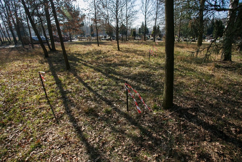 Las Pamięci na cmentarzu Szczecińska