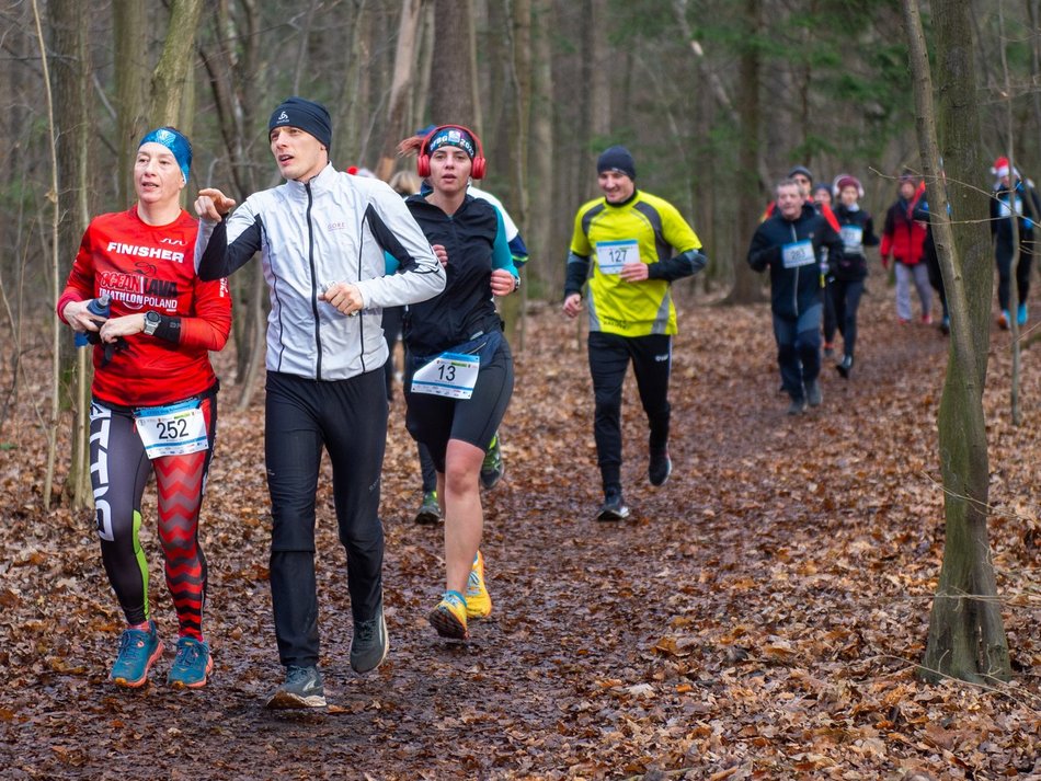 biegacze w lesie