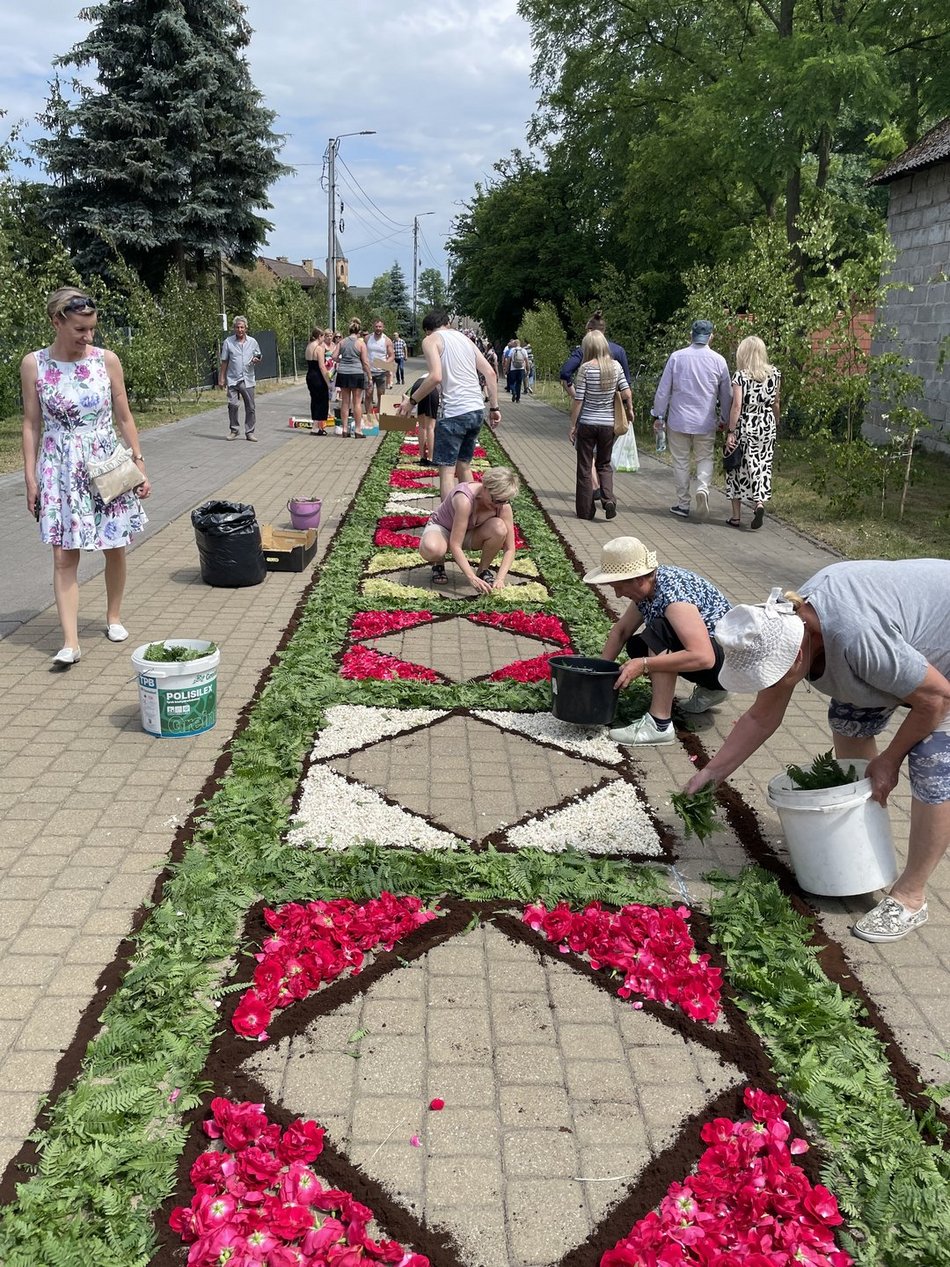 Kwiatowe dywany w Spycimierzu