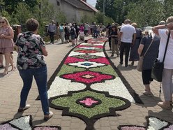 Kwiatowe dywany w Spycimierzu