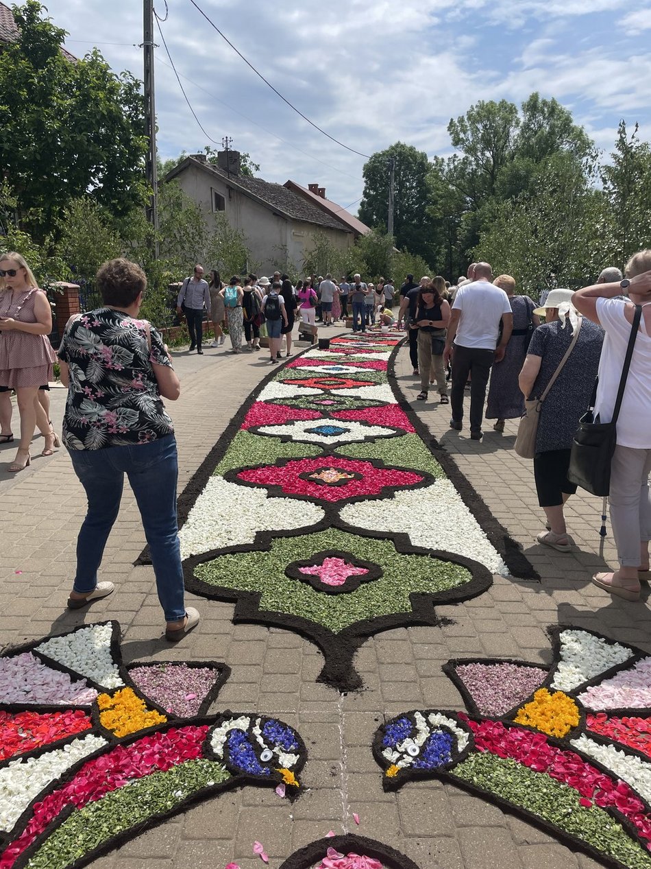 Kwiatowe dywany w Spycimierzu