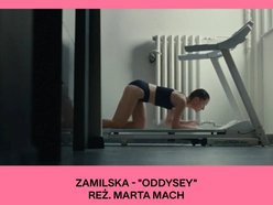 PL Music Video Awards 2024 w Łodzi. Znamy zwycięzców tegorocznej edycji!