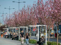 Łódź zna się na zielonych inwestycjach!