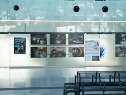 „Podziemna Łódź”. Wyjątkowa wystawa fotografii z okazji 100-lecia ZWiK Łódź