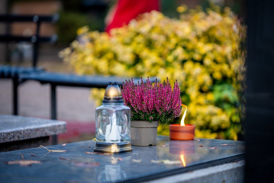 Łodzianie już na Starym Cmentarzu w Łodzi. Tak odwiedzają bliskich