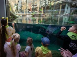 Orientarium Zoo Łódź z nową ścieżką edukacyjną