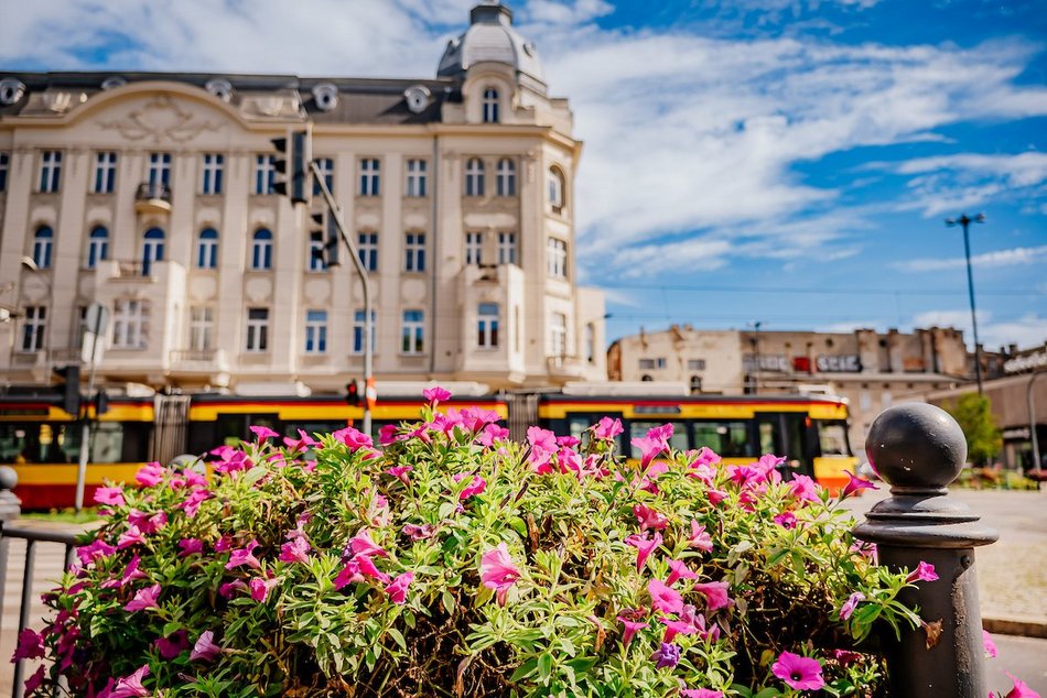 Łódź. Wrzesień w Łodzi potrafi zaskoczyć! Miasto wciąż tętni kolorami i zapachem kwiatów