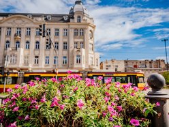 Łódź. Wrzesień w Łodzi potrafi zaskoczyć! Miasto wciąż tętni kolorami i zapachem kwiatów
