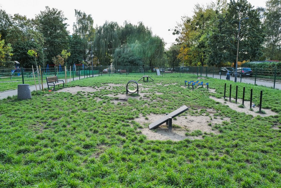 Łódź. Z czworonogiem na plac zabaw? W Łodzi powstaną kolejne psie parki