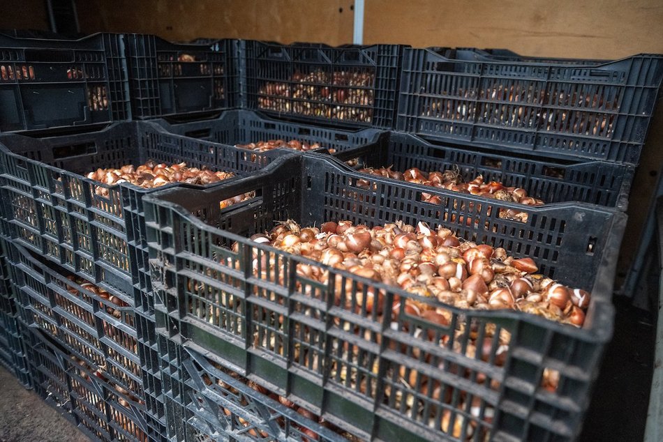 Łódź. Miasto rozkwitnie dzięki Budżetowi Obywatelskiemu Łódź