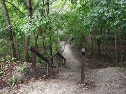 Łódź. Zmiany w parku Jordanka