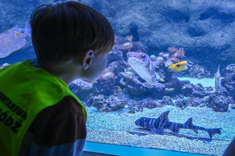 Łódź. Ferie zimowe 2026 w Orientarium Zoo Łódź