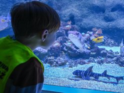 Łódź. Ferie zimowe 2026 w Orientarium Zoo Łódź