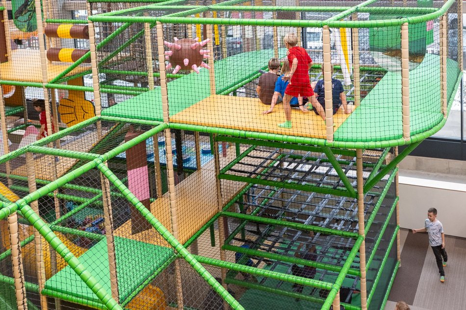 Łódź. Jak wygląda największy figloraj w Łodzi? Zobacz zdjęcia z Orientkowa w Orientarium Zoo Łódź