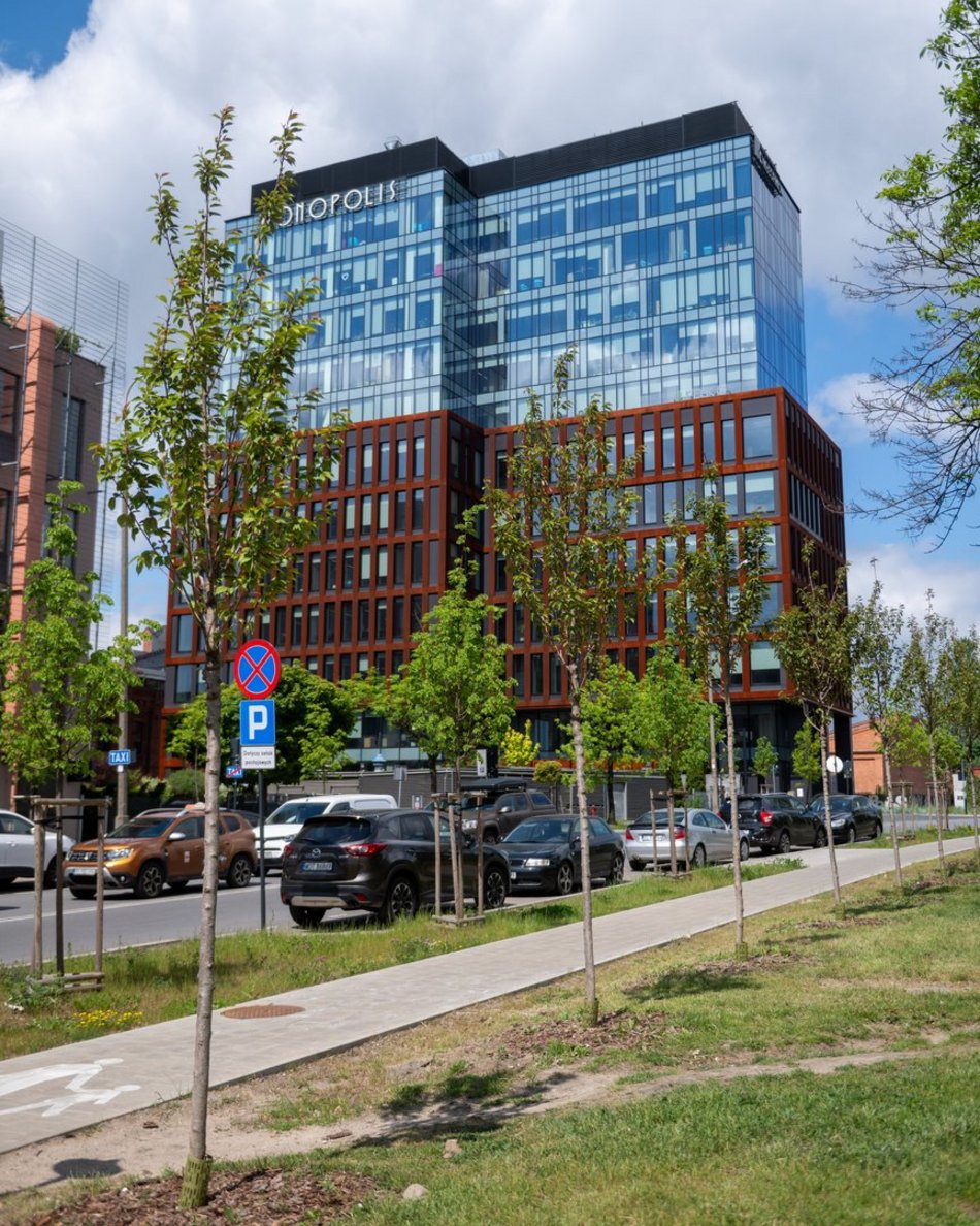 Łódź. Aż 80 nowych drzew przy Monopolis w Łodzi! Piękne wiśnie zdobią Wydawniczą
