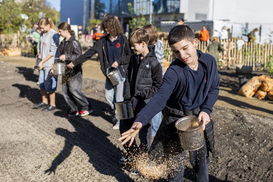 Na Polesiu powstał... mikrolas!