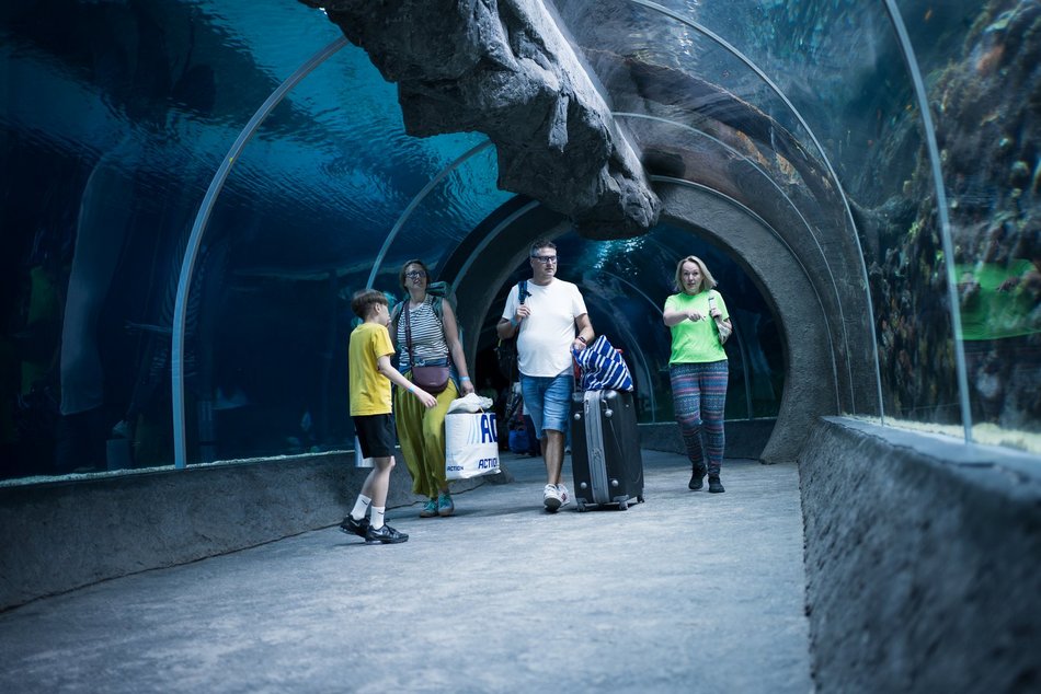 Urodzinowe nocowanie w Orientarium Zoo Łódź. Przeżyli przygodę, której zapamiętają na długo!