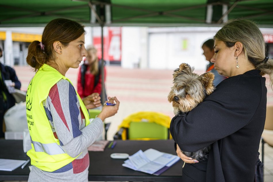 Widzew Łódź dla zwierzaków ze schroniska! Przyjdź na bezpłatne chipowanie i specjalny mecz