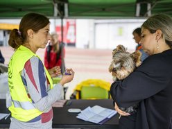 Widzew Łódź dla zwierzaków ze schroniska! Przyjdź na bezpłatne chipowanie i specjalny mecz