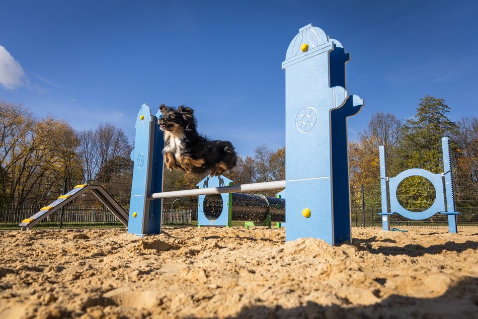 Nowy psi park w Łodzi! Podzielony na dwie strefy – do treningu agility i do zabawy