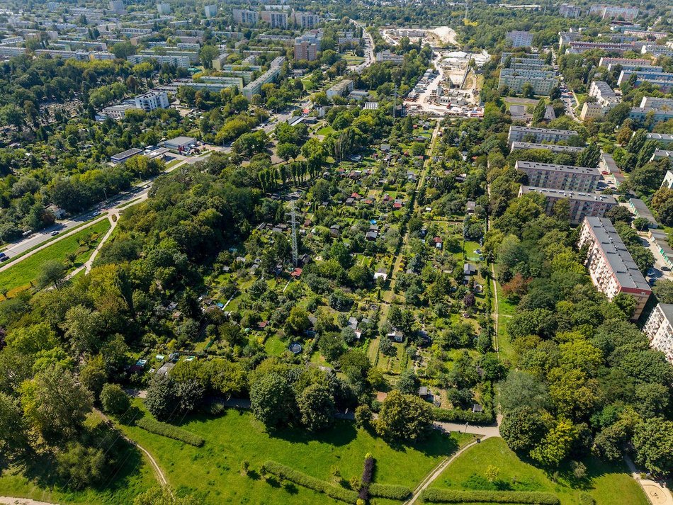 Łódź. Rodzinne Ogrody Działkowe w Łodzi. Miejsca relaksu z prawdziwą ekomisją