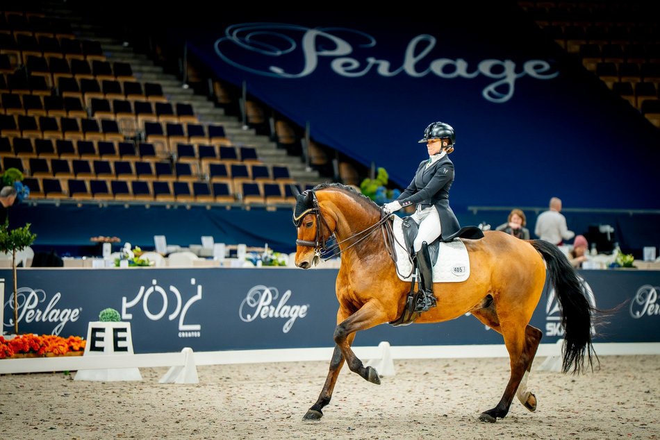 Łódź. Cavaliada Tour w Atlas Arenie w Łodzi wystartowała! Zobacz zdjęcia z pierwszego dnia zmagań