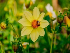 Łódź. Jesień w Ogrodzie Botanicznym w Łodzi. Tam z pewnością pokochasz tę porę roku!