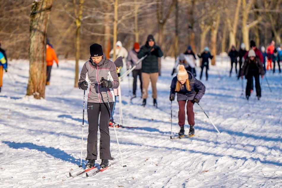 Łódź. Zajęcia z narciarstwa biegowego