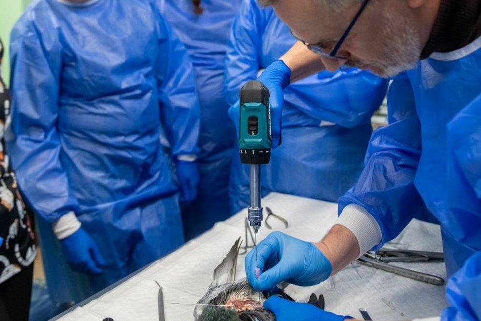 Łódź. Orientarium Zoo Łódź to nie tylko atrakcja. Tu szkolą się najlepsi weterynarze zwierząt egzotycznych