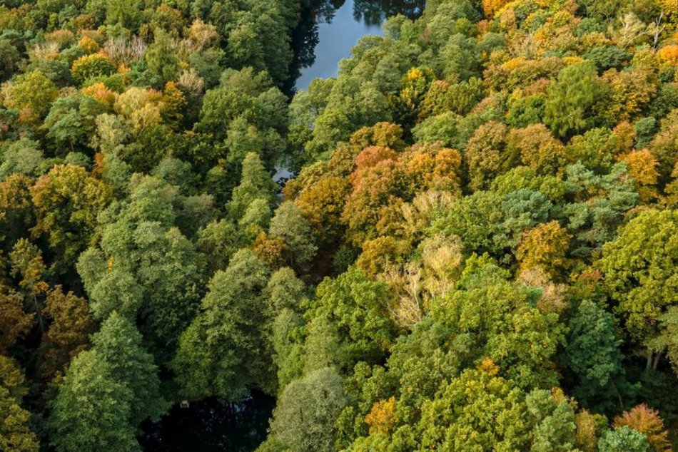 Łódź. Nowe plany miejscowe w Łodzi. Które tereny zielone znajdą się pod ochroną?