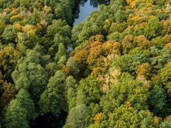Łódź. Nowe plany miejscowe w Łodzi. Które tereny zielone znajdą się pod ochroną?