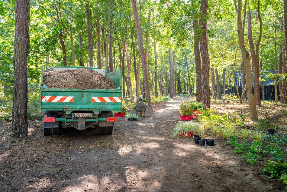 Będzie nowy skwer przy ulicy Zuchów w Łodzi. Zapomniany teren odżyje!
