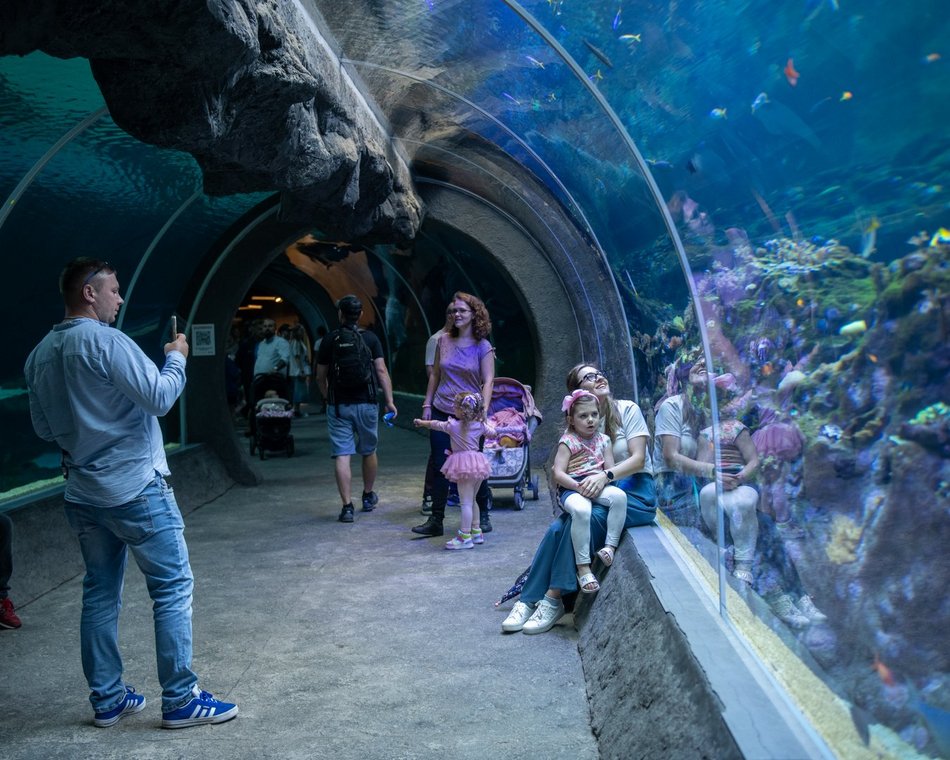 601. Urodziny Łodzi w Orientarium Zoo Łódź