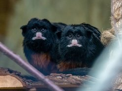 fot. Orientarium Zoo Łódź