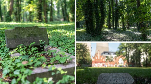 Park im. Tadeusza Rejtana w Łodzi. Klimatyczne miejsce w centrum miasta [ZDJĘCIA]