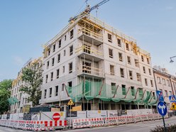 Łódź. Mieszkania, remonty i park przy Lipowej