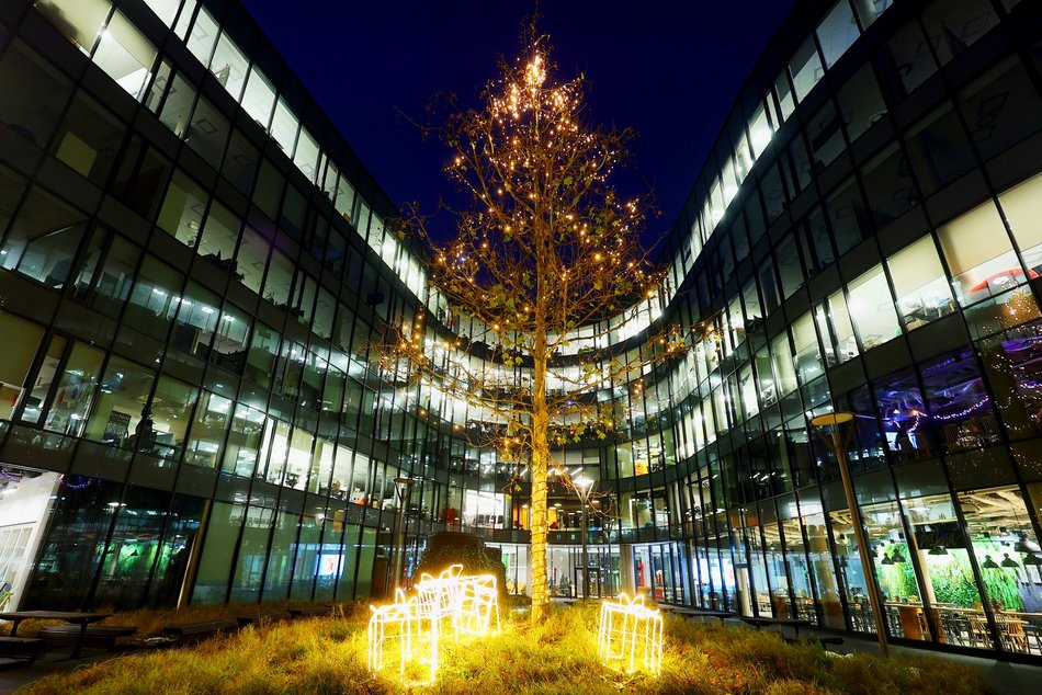 Łódź. Rozświetlony spacer po Łodzi! Zobacz, jak iluminacje rozjaśniają wieczór w mieście