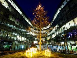 Łódź. Rozświetlony spacer po Łodzi! Zobacz, jak iluminacje rozjaśniają wieczór w mieście