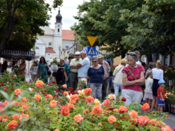 Łódź. Festiwal Róż w Łasku