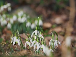 Łódź. Ogród Botaniczny w Łodzi
