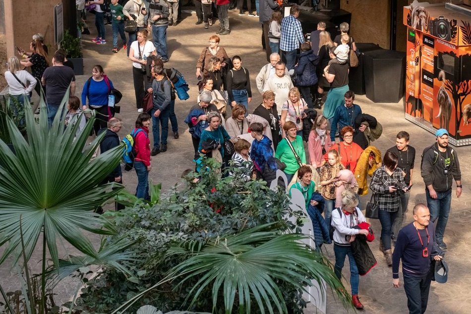 Trzecie urodziny Orientarium Zoo Łódź i majówka