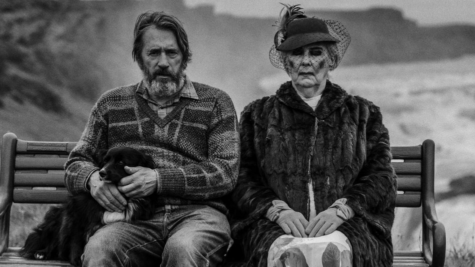 Łódź. Hity w telewizji w dniach 17-23 listopada. Przeczytaj rekomendacje od Toya, które filmy warto obejrzeć