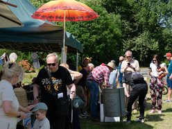 Ogród Botaniczny w Łodzi tętni życiem! Niedzielne tańce, koncerty, kiermasz i więcej