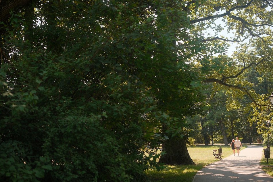 Łódź. Relaks na świeżym powietrzu w Łodzi? Księży Młyn i park Źródliska idealne na długi weekend
