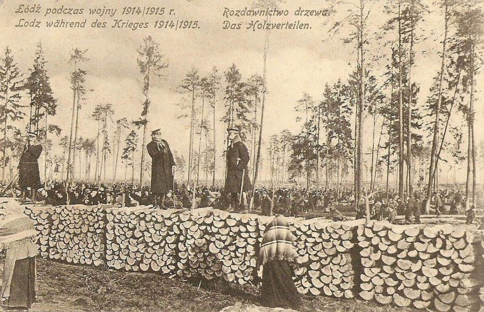 I wojna światowa. Rozdawnictwo drewna