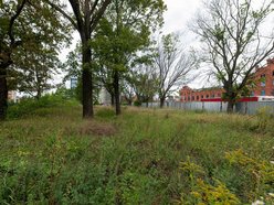 Łódź. Nowy skwer przy Kopcińskiego w Łodzi. Powstanie plac zabaw, wybieg dla psów i spacerowa aleja