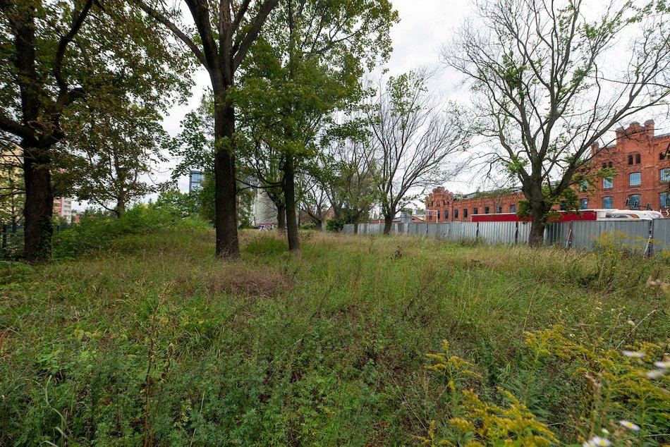 Łódź. Nowy skwer przy Kopcińskiego w Łodzi. Powstanie plac zabaw, wybieg dla psów i spacerowa aleja