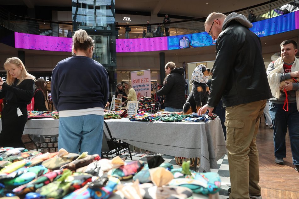 Łódź. Psi Targ w Manufakturze w Łodzi. Każdy miłośnik czworonogów znajdzie tu coś dla siebie