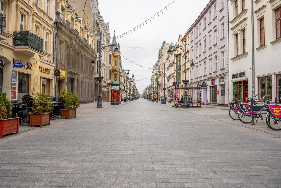 Nowe drzewa na Piotrkowskiej w Łodzi od placu Wolności