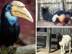 Łódź. Nowe zwierzęta w Orientarium Zoo Łódź. Koniecznie musisz je odwiedzić!